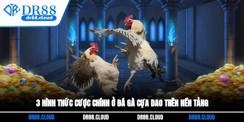 3 hình thức cược chính ở đá gà cựa dao trên nền tảng