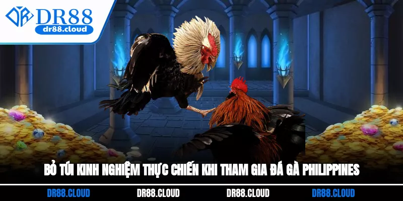 Bỏ túi kinh nghiệm thực chiến khi tham gia đá gà Philippines
