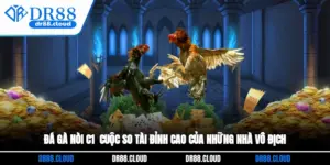 Đá Gà Nòi C1 - Cuộc So Tài Đỉnh Cao Của Những Nhà Vô Địch