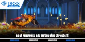 Đá Gà Philippines - Đấu Trường Đẳng Cấp Quốc Tế