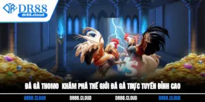 Đá Gà Thomo - Khám Phá Thế Giới Đá Gà Trực Tuyến Đỉnh cao