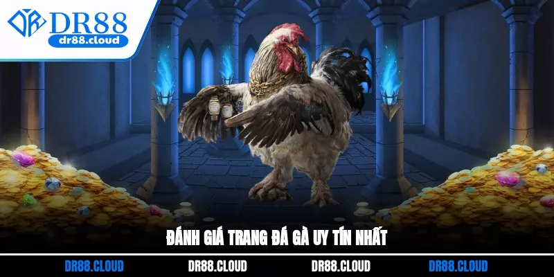 Đánh giá trang đá gà uy tín nhất
