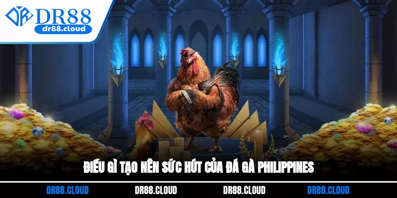 Điều gì tạo nên sức hút của đá gà Philippines?