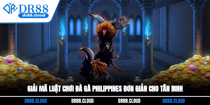 Giải mã luật chơi đá gà Philippines đơn giản cho tân binh