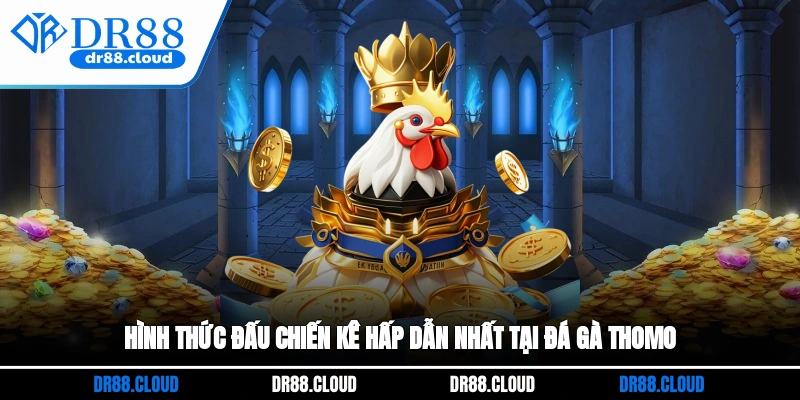 Hình thức đấu chiến kê hấp dẫn nhất tại đá gà Thomo