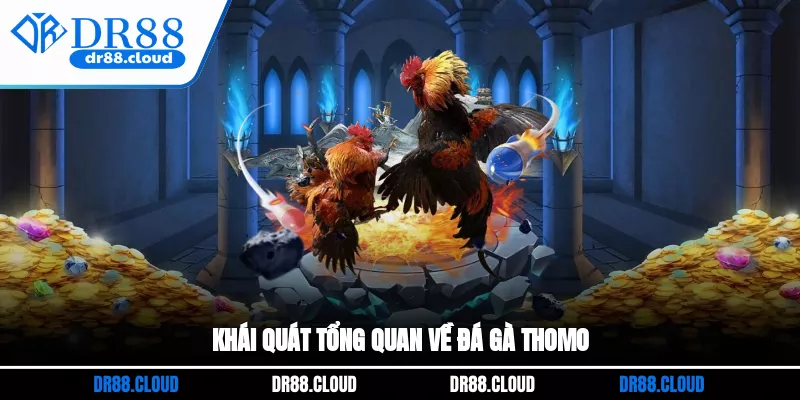 Khái quát tổng quan về đá gà Thomo