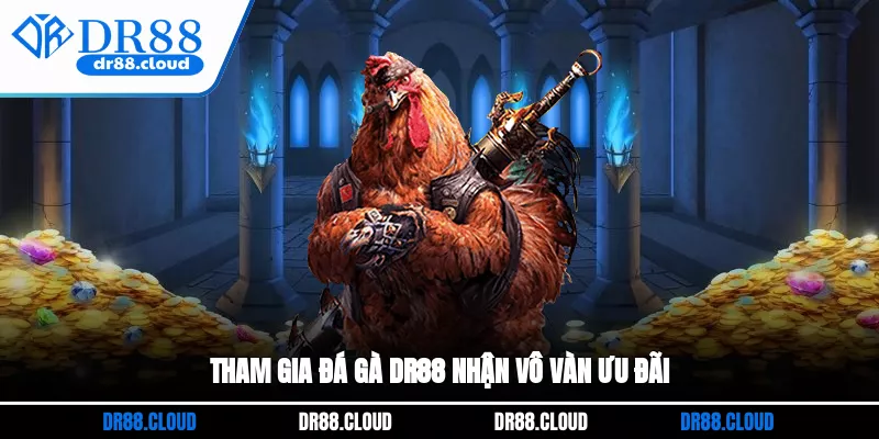 Tham gia Đá gà DR88 nhận vô vàn ưu đãi