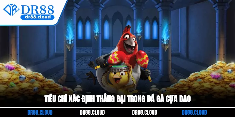 Tiêu chí xác định thắng bại trong đá gà cựa dao