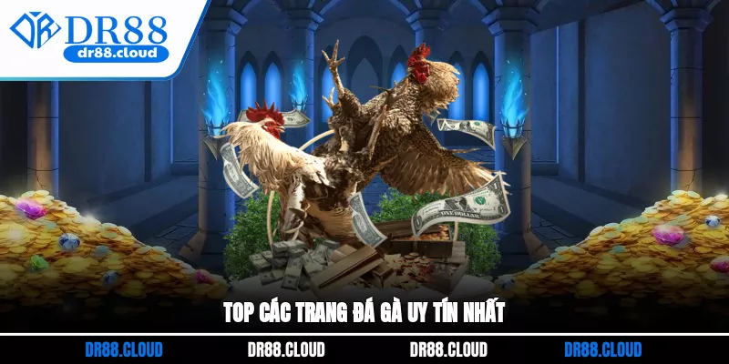 Top các trang đá gà uy tín nhất