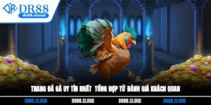 Trang Đá Gà Uy Tín Nhất - Tổng Hợp Từ Đánh Giá Khách Quan