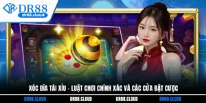 Xóc Đĩa Tài Xỉu - Luật Chơi Chính Xác Và Các Cửa Đặt Cược